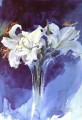 Vita Liljor foremost Sweden painter Anders Zorn watercolor